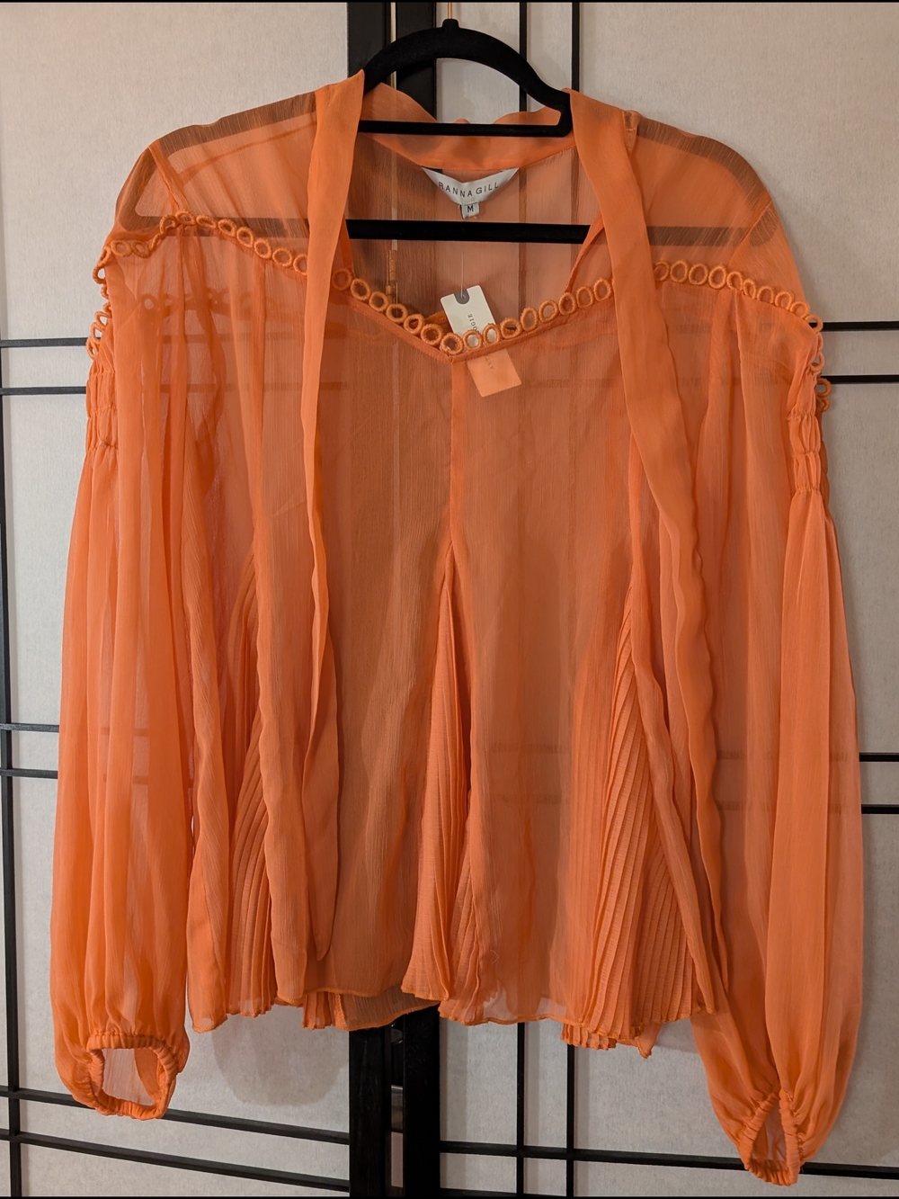 Ranna Gill Anthropologie Orange Sheer Pleated Blouse Top M NWT - Picture 1 of 5